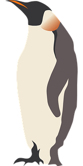 Emperor Penguin Illustration