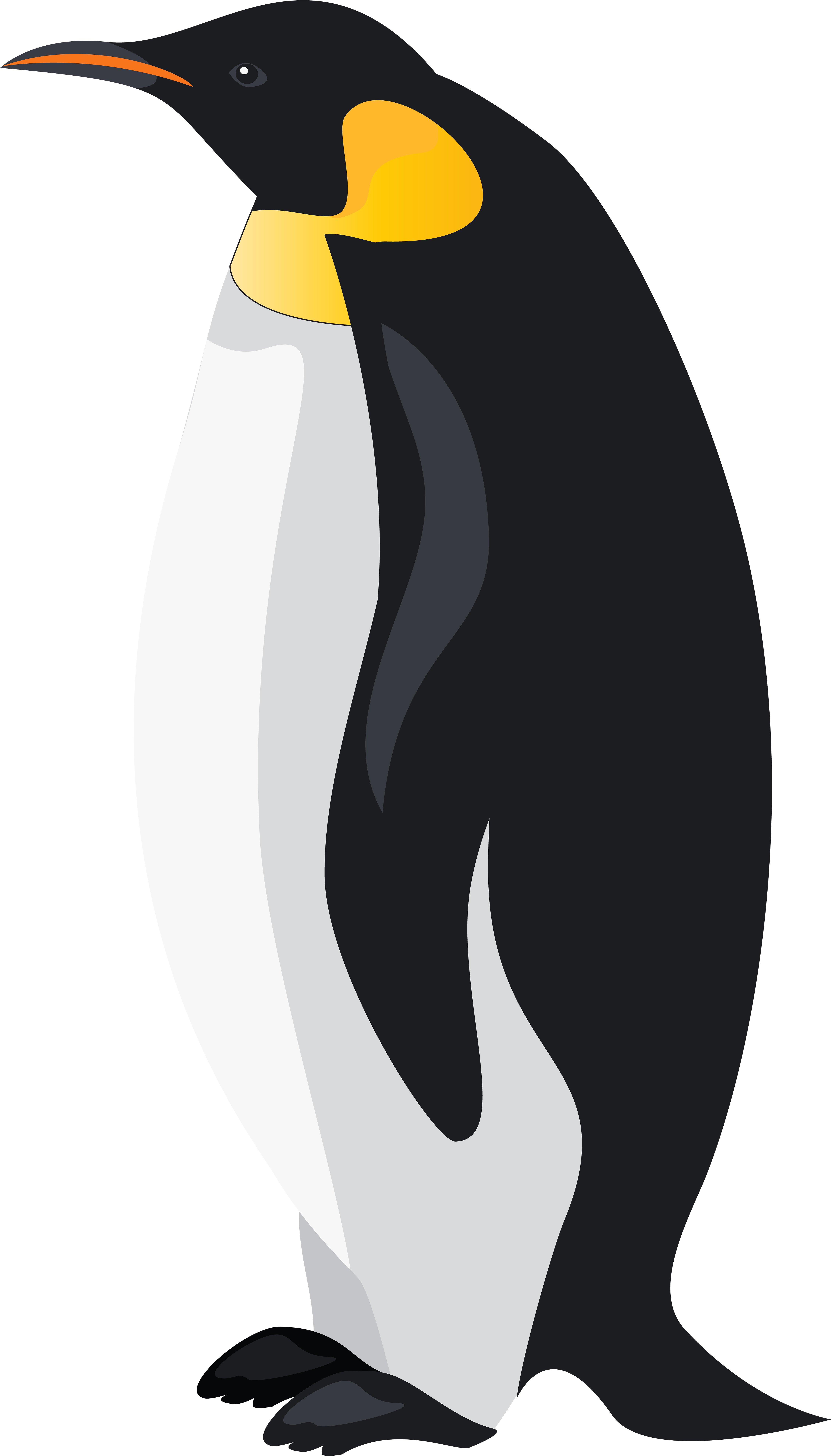 Emperor Penguin Illustration