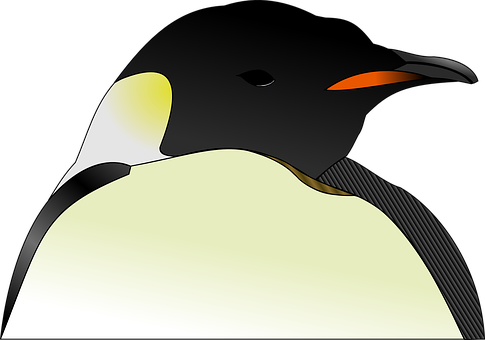 Emperor Penguin Vector Artwork