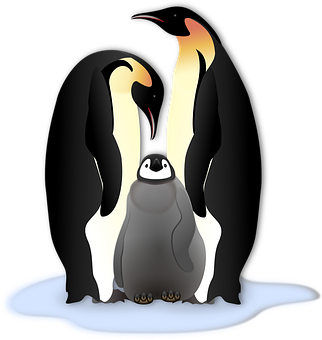 Emperor Penguinand Chick Illustration