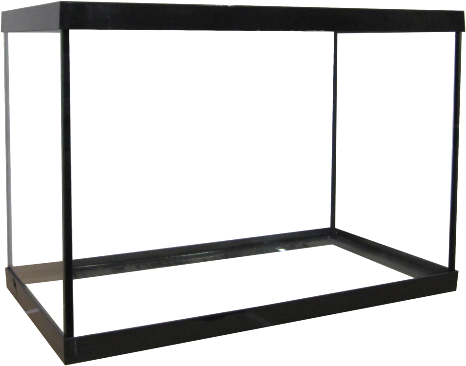 Empty Aquarium Tank