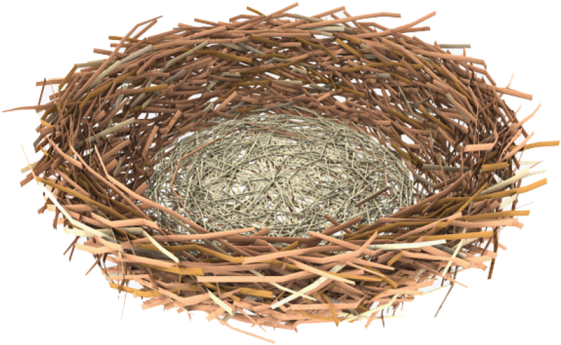 Empty Bird Nest Isolated