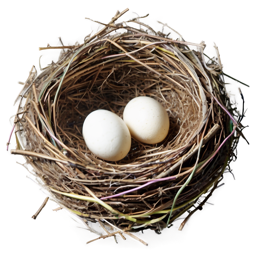 Empty Bird Nest Png 92