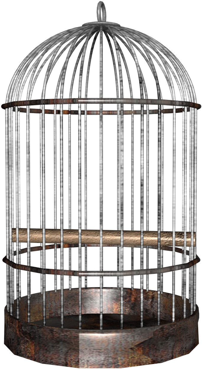 Empty Birdcage3 D Model