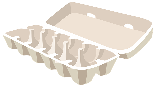 Empty Egg Carton Illustration