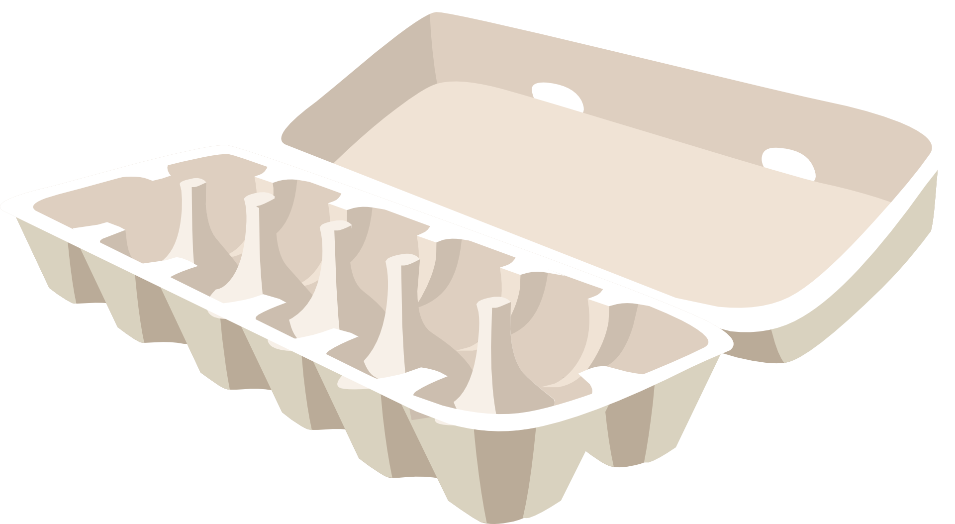 Empty Egg Carton Illustration