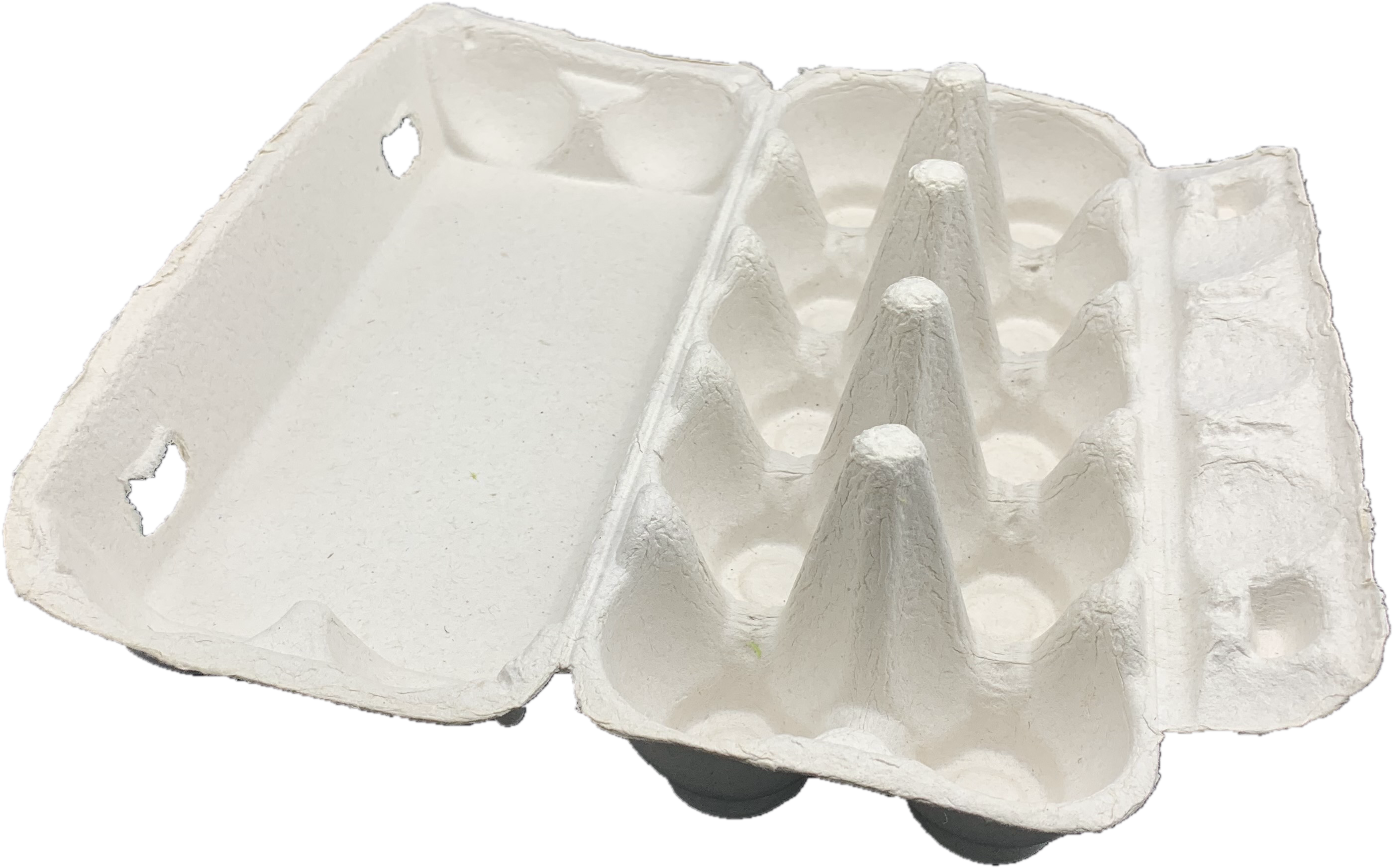 Empty Egg Carton Top View