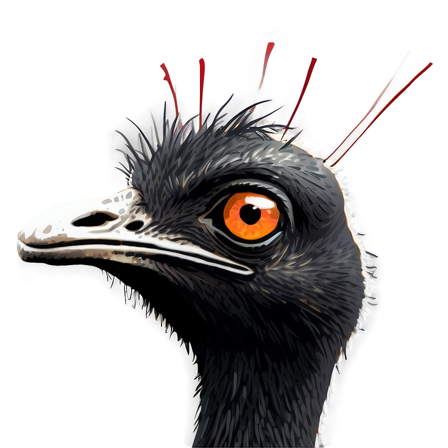 Emu Head Png 06252024