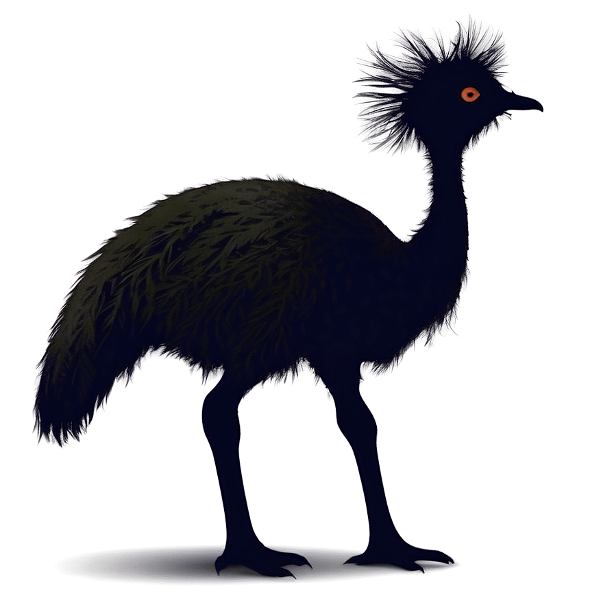 Emu Silhouette Png Qfk9