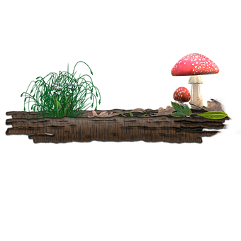 Enchanted Forest Mushrooms