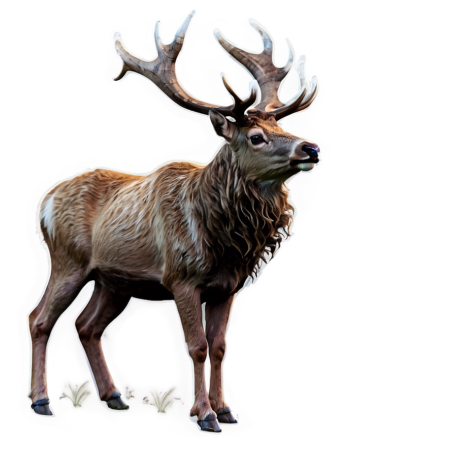 Enchanted Forest Stag Png 97