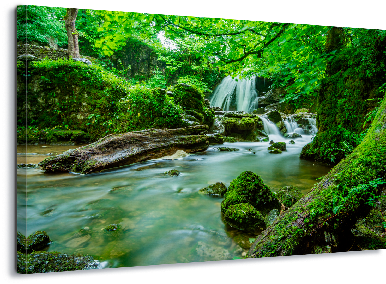 Enchanted Forest Waterfall Scene