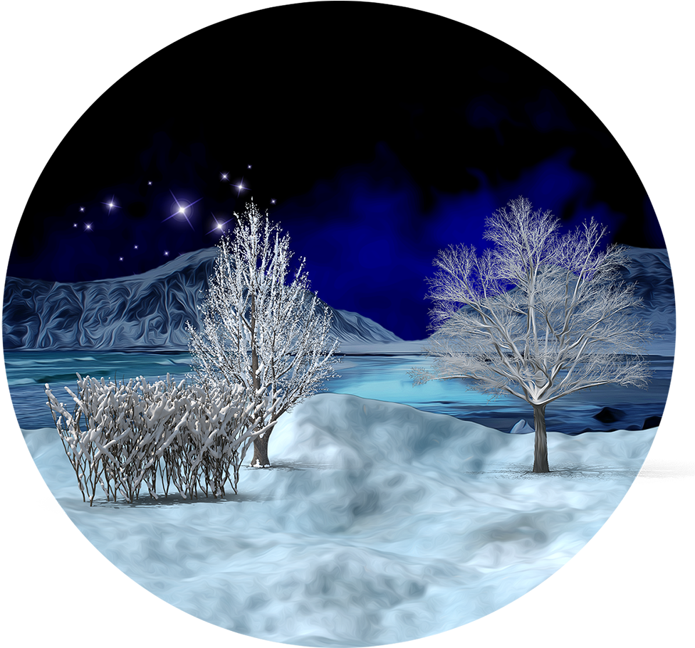 Enchanted_ Winter_ Night_ Scene