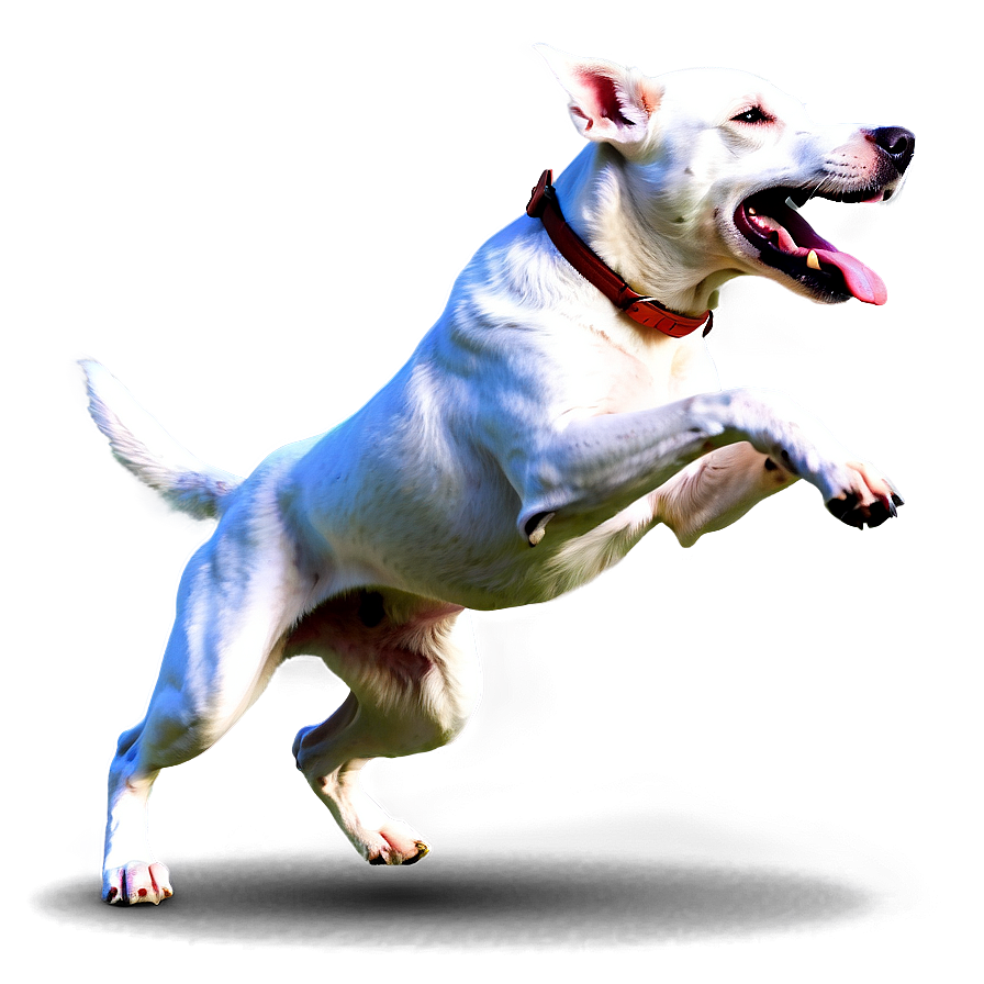 Energetic Dog Running Png Bkv77