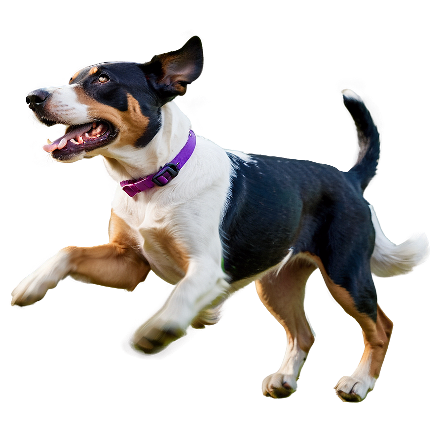 Energetic Dog Running Png Ywe