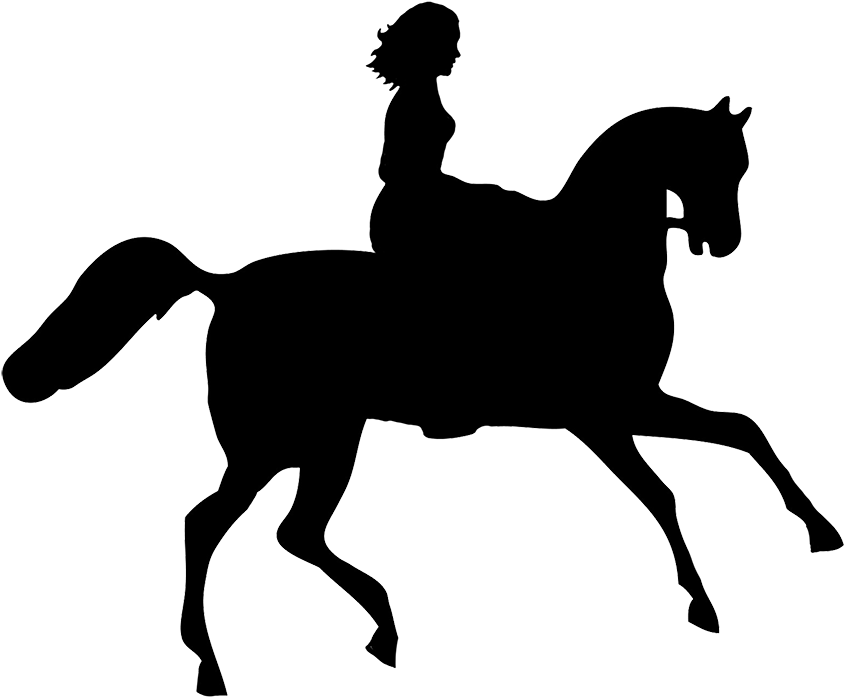 Equestrian Silhouette Profile