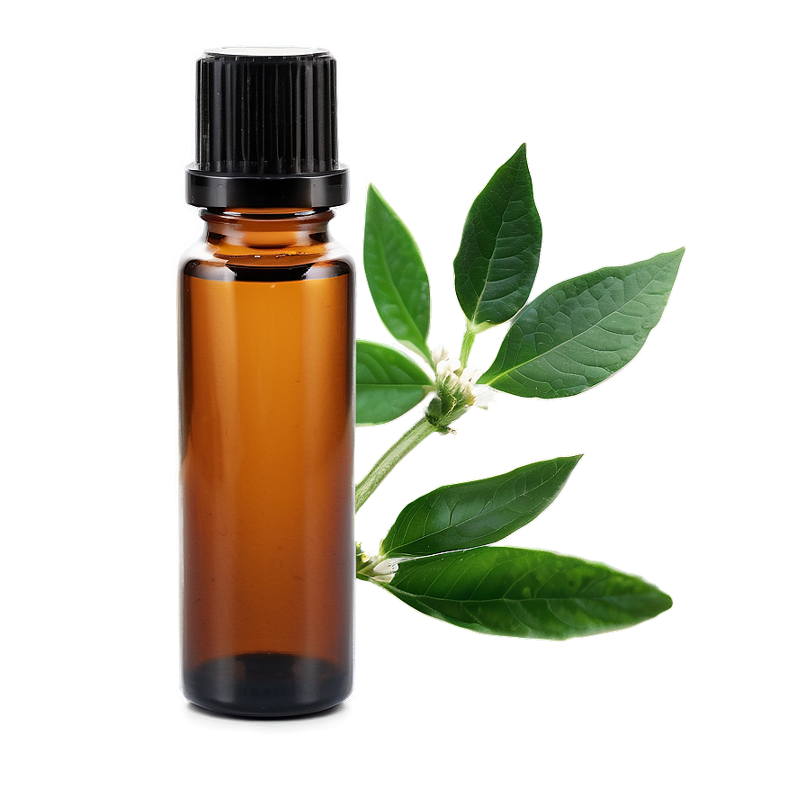 Essential Oil B