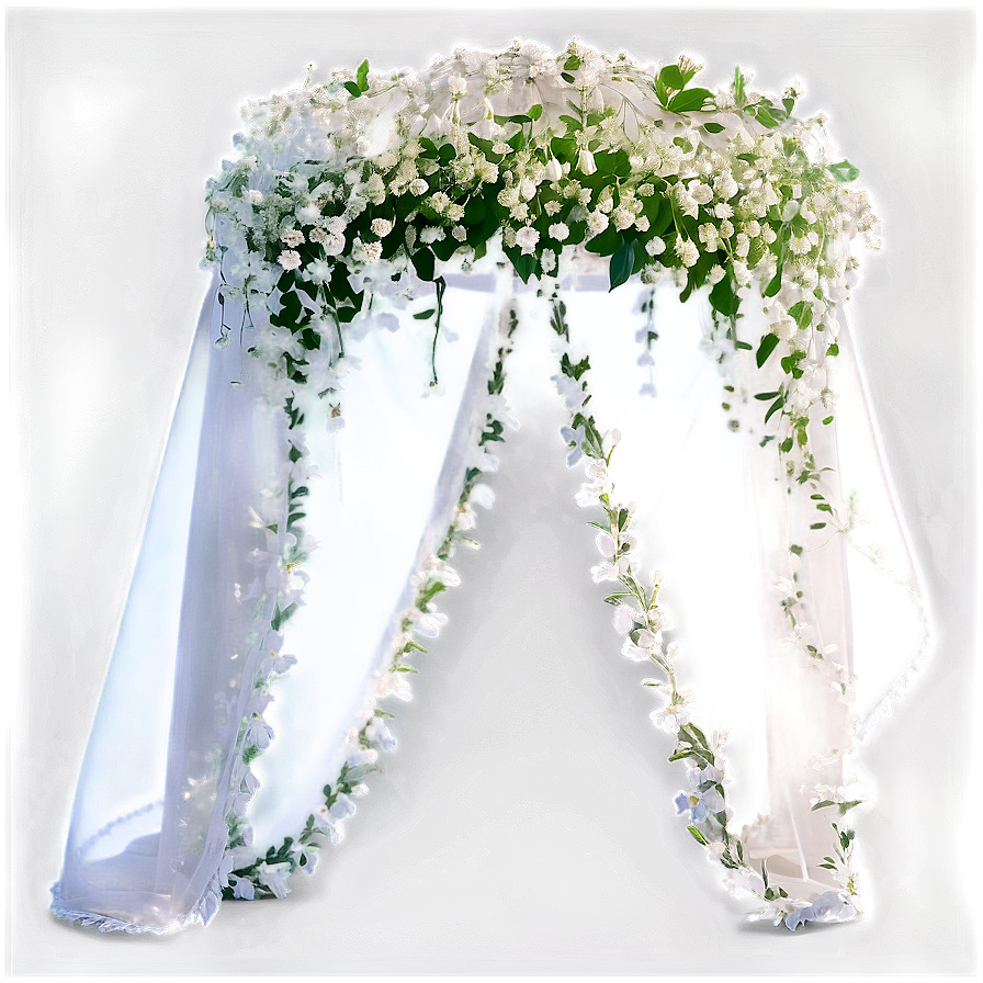 Ethereal Baby's Breath Veil Png 68 Image