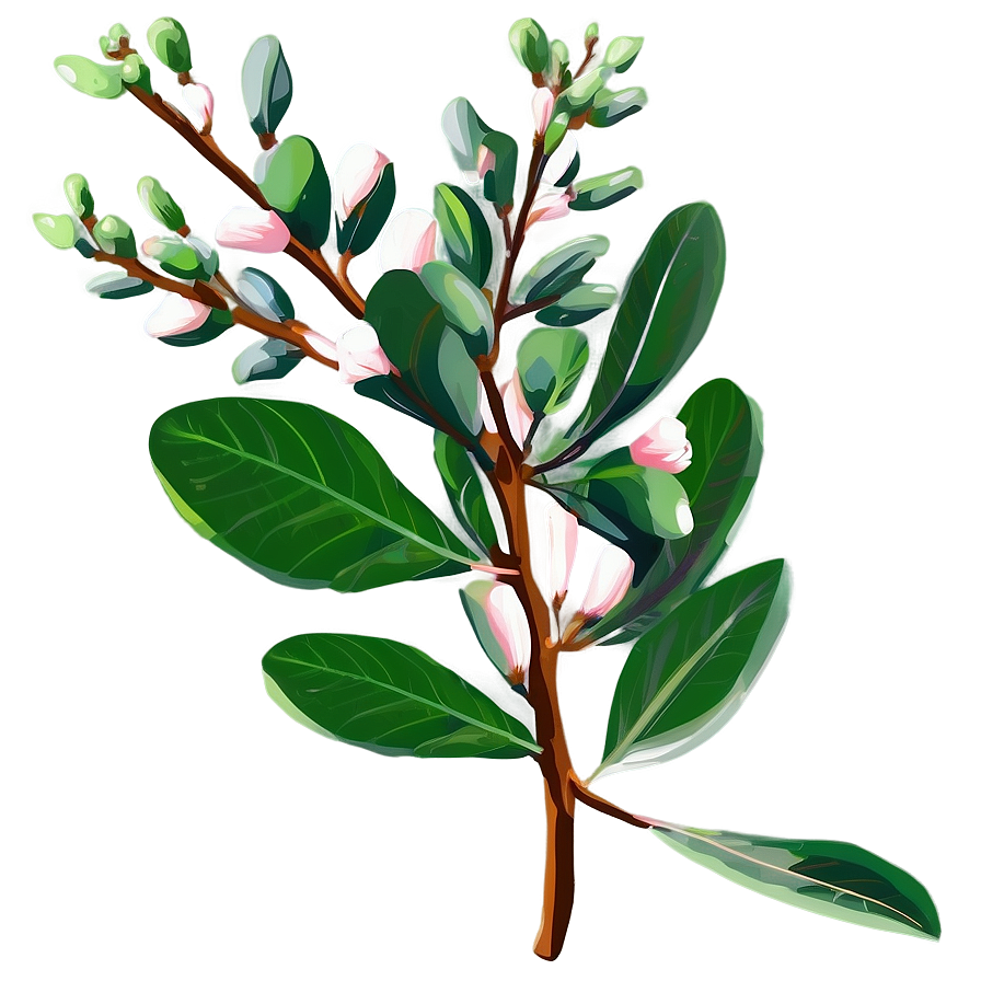 Eucalyptus Branch Clipart Png 06122024