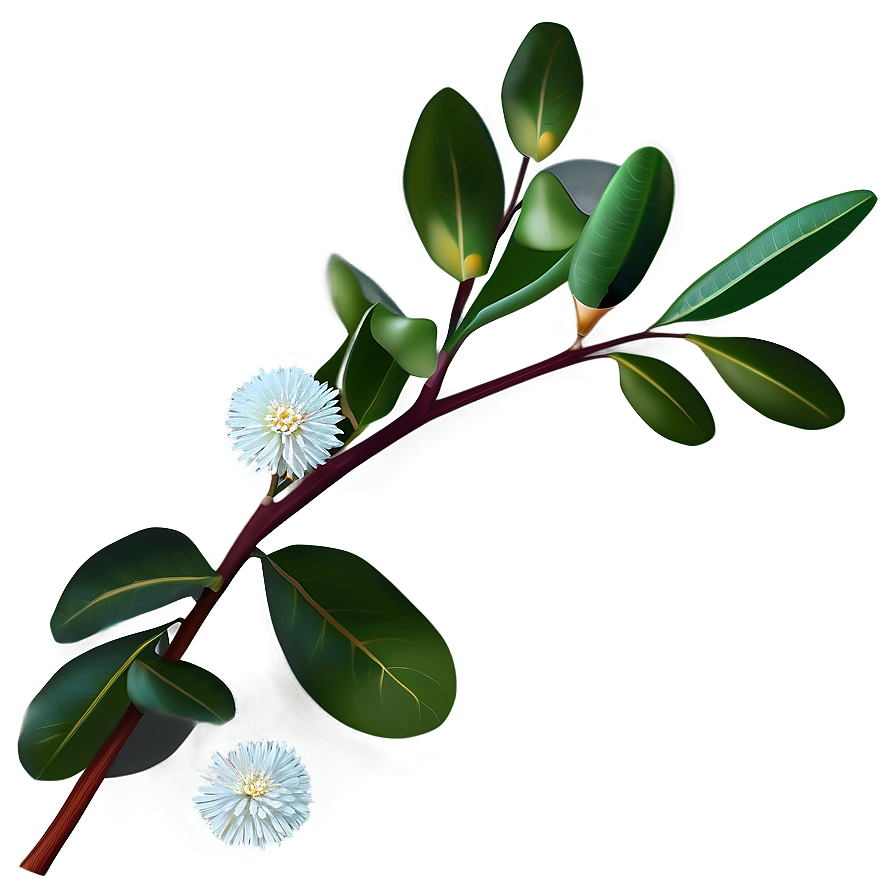 Eucalyptus Branch With Flowers Png Hvy