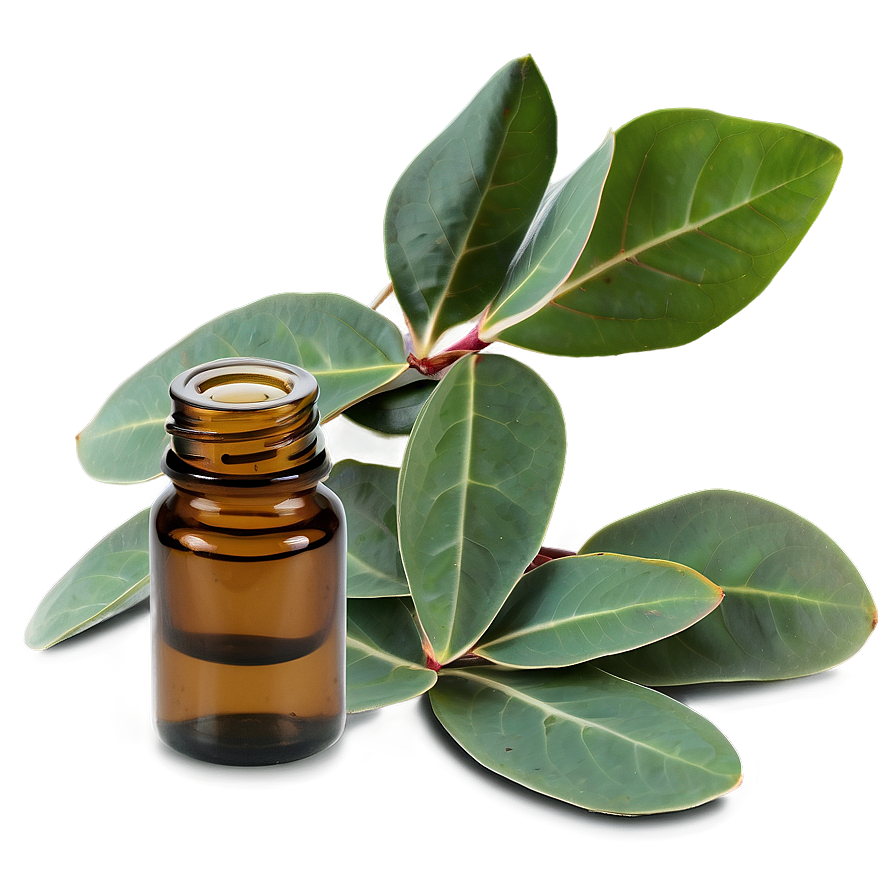 Eucalyptus Essential Oil Png 06292024