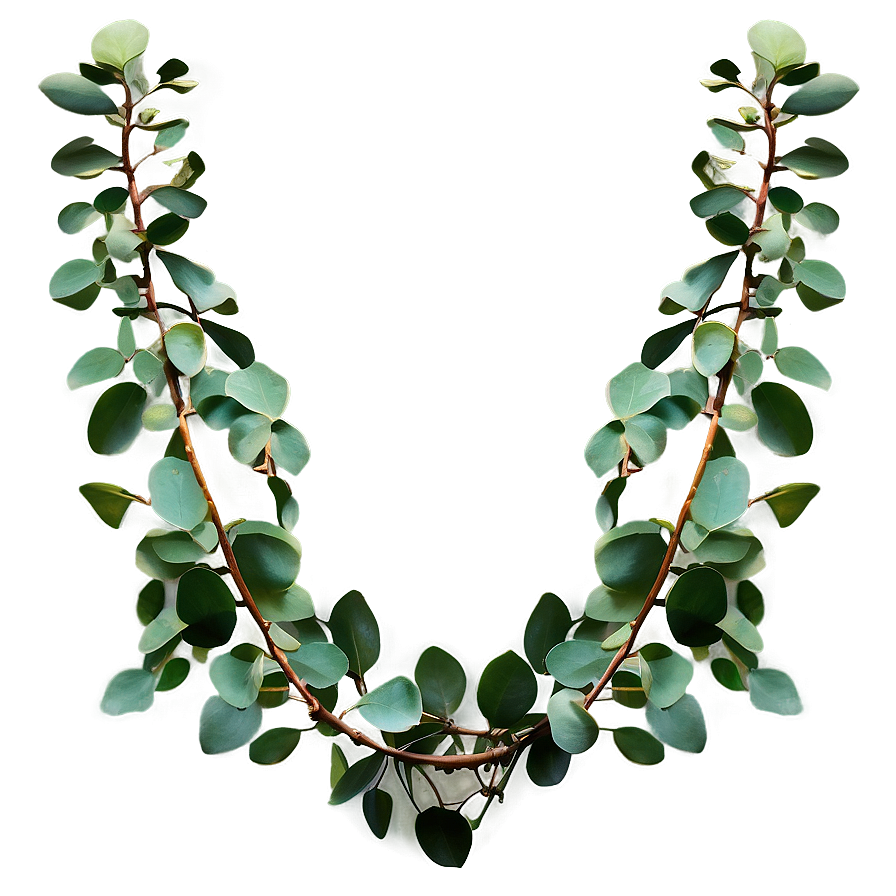 Eucalyptus Garland Decoration Png Lgb