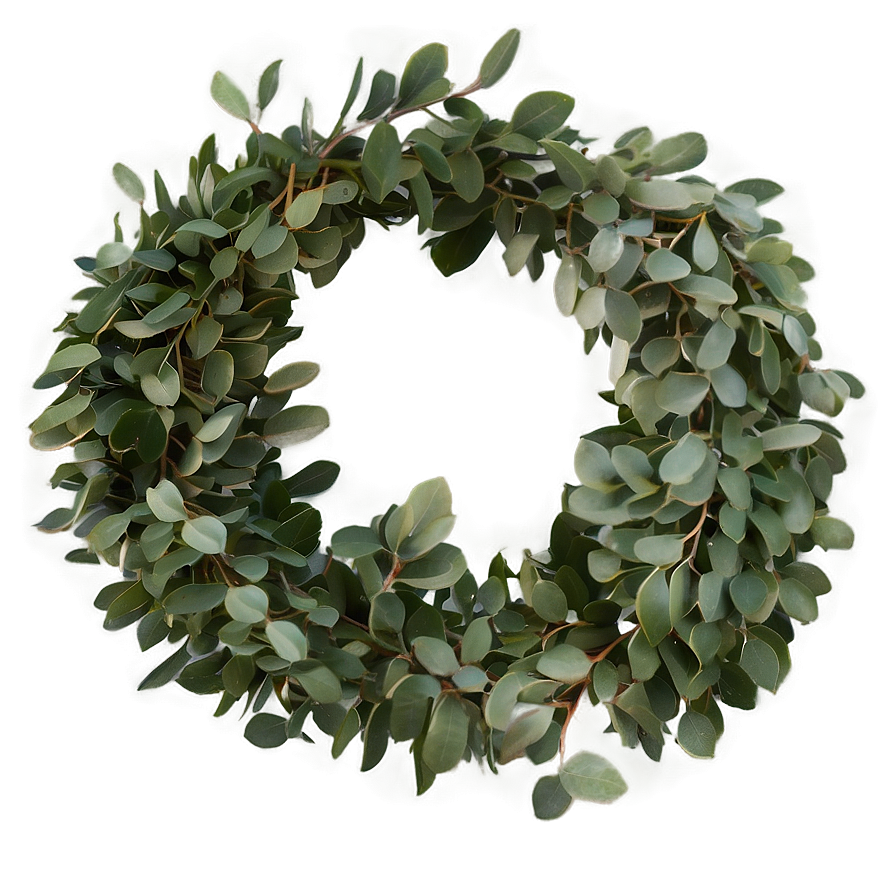 Eucalyptus Garland Png 06272024