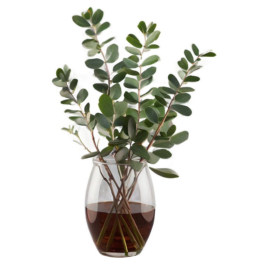 Eucalyptus In Vase Png Lqh77