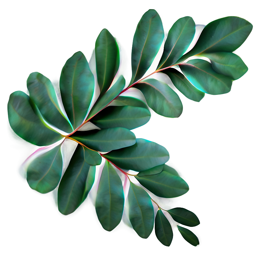 Eucalyptus Leaf Pattern Png 48