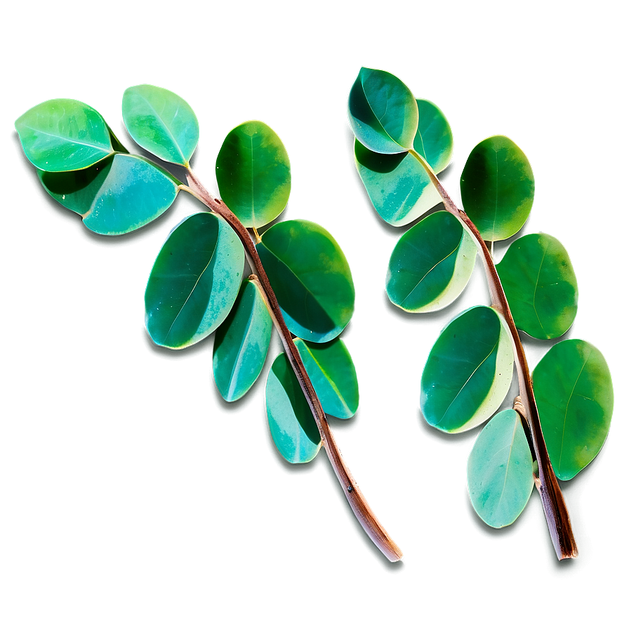 Eucalyptus Leaves Craft Png Qle7