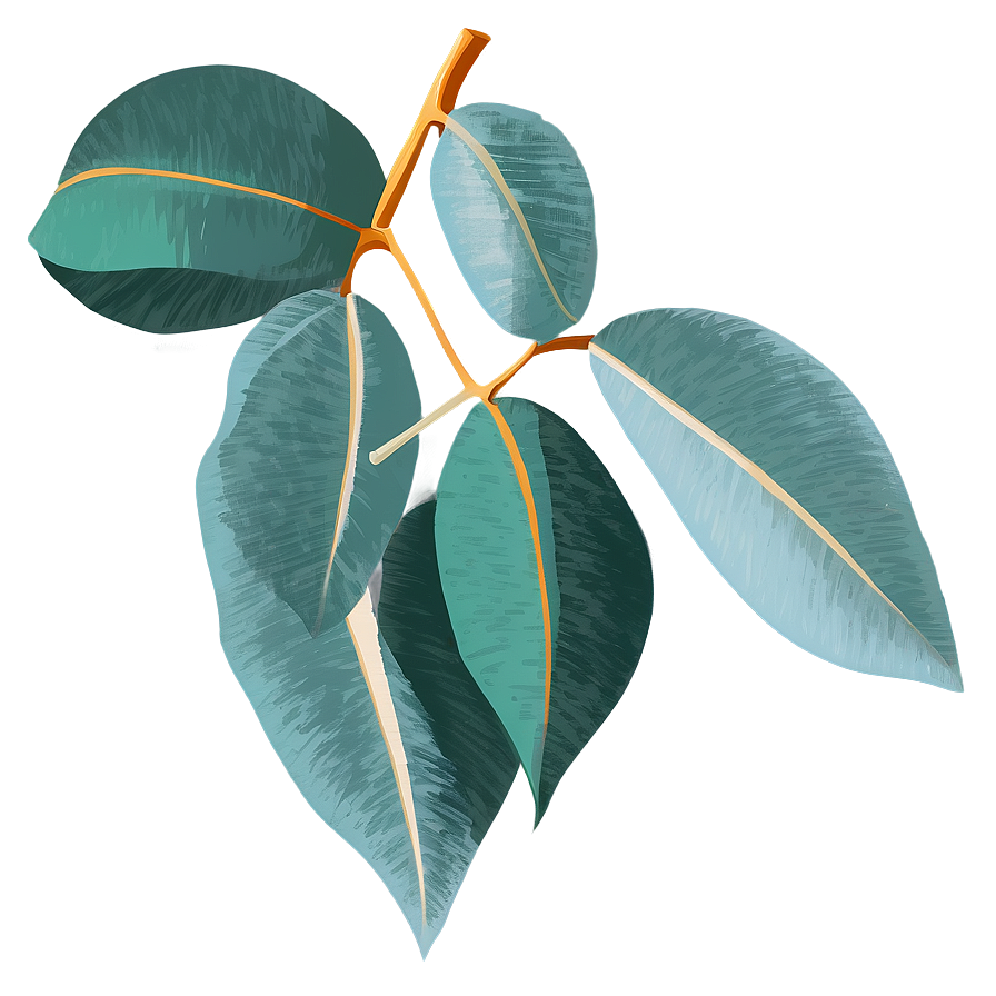 Eucalyptus Leaves Vector Png 55