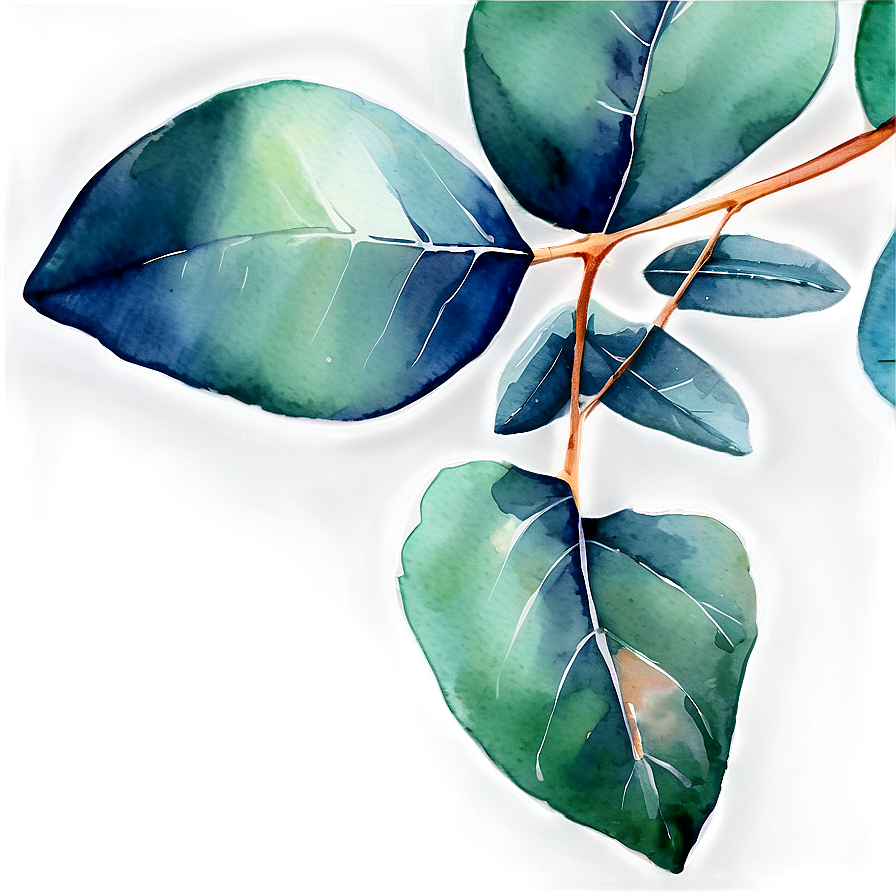 Eucalyptus Leaves Watercolor Png 31