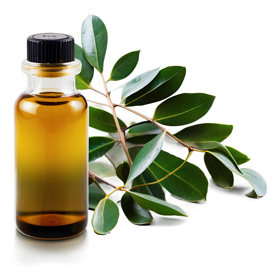 Eucalyptus Oil Massage Png 05242024