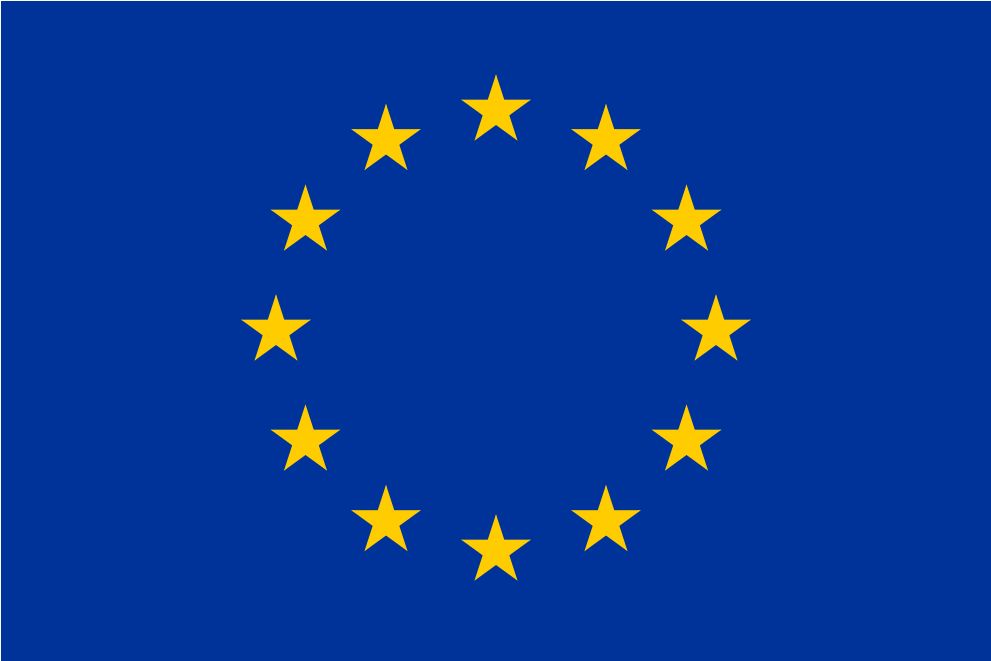 European Union Flag