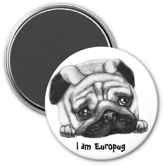 Europug Magnet Design