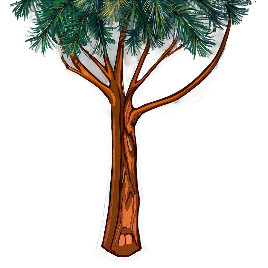 Evergreen Tree Drawing Png Aql