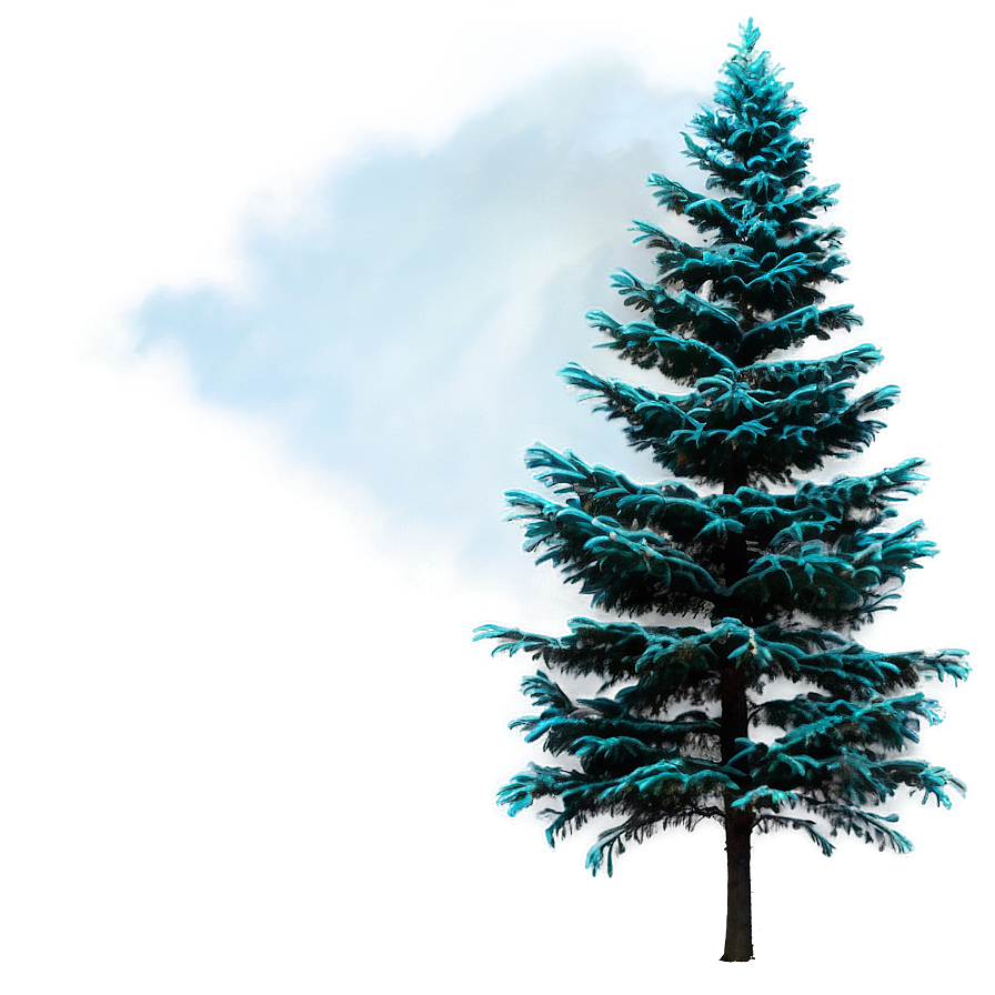 Evergreen Tree In Mist Png Aaf51