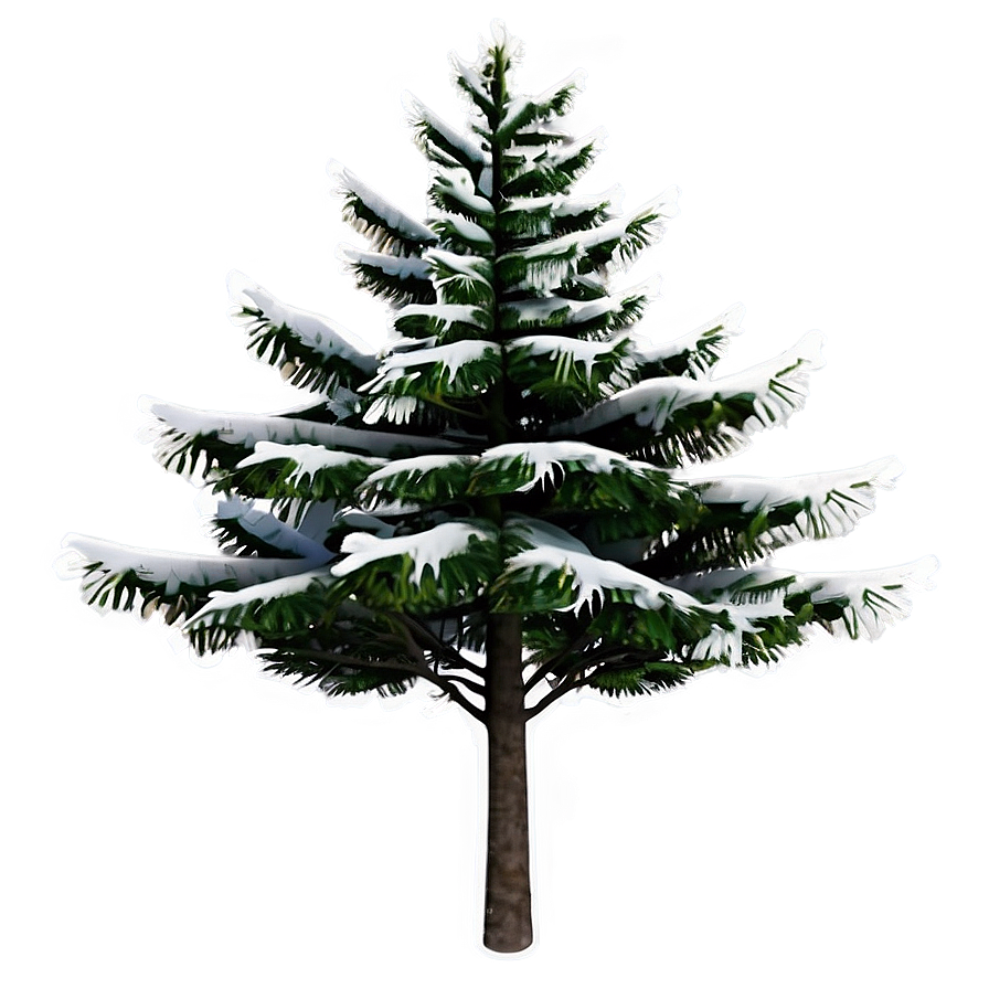 Evergreen Tree On Hill Png 06212024