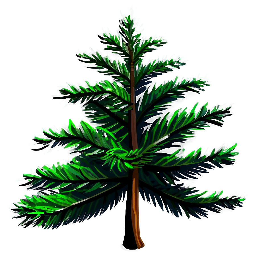 Evergreen Tree Shadow Png 06212024