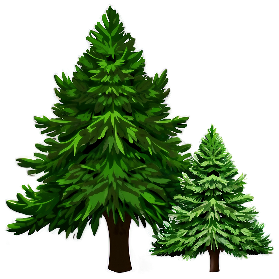 Evergreen Tree Shadow Png 97