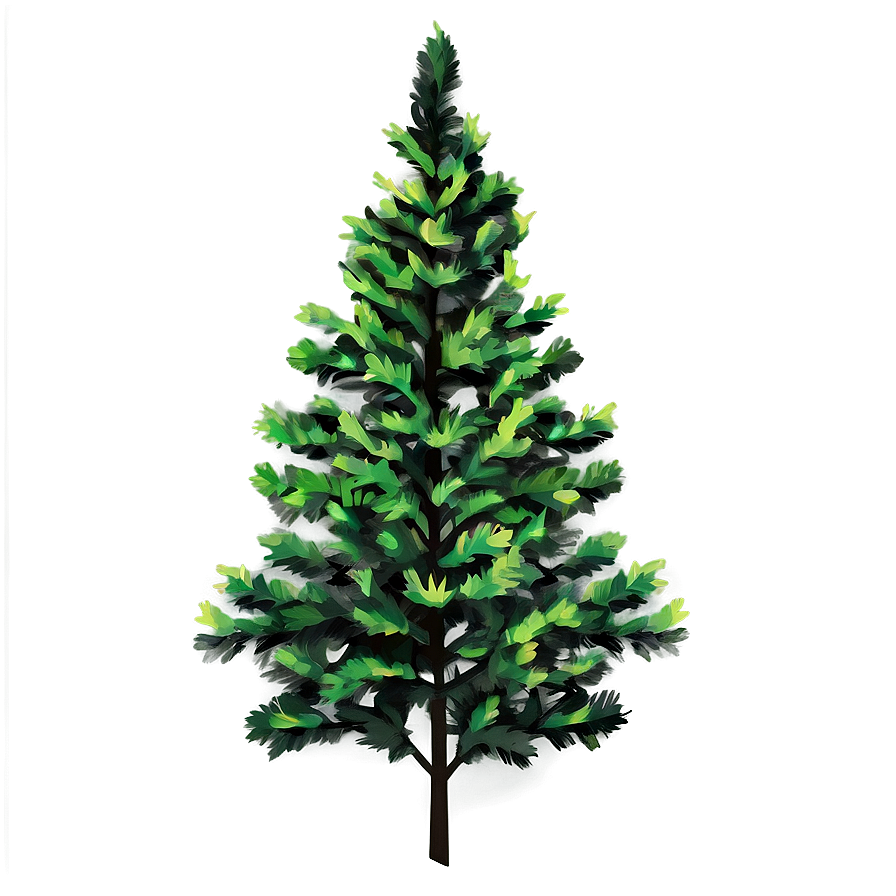 Evergreen Tree Shadow Png Ijb2