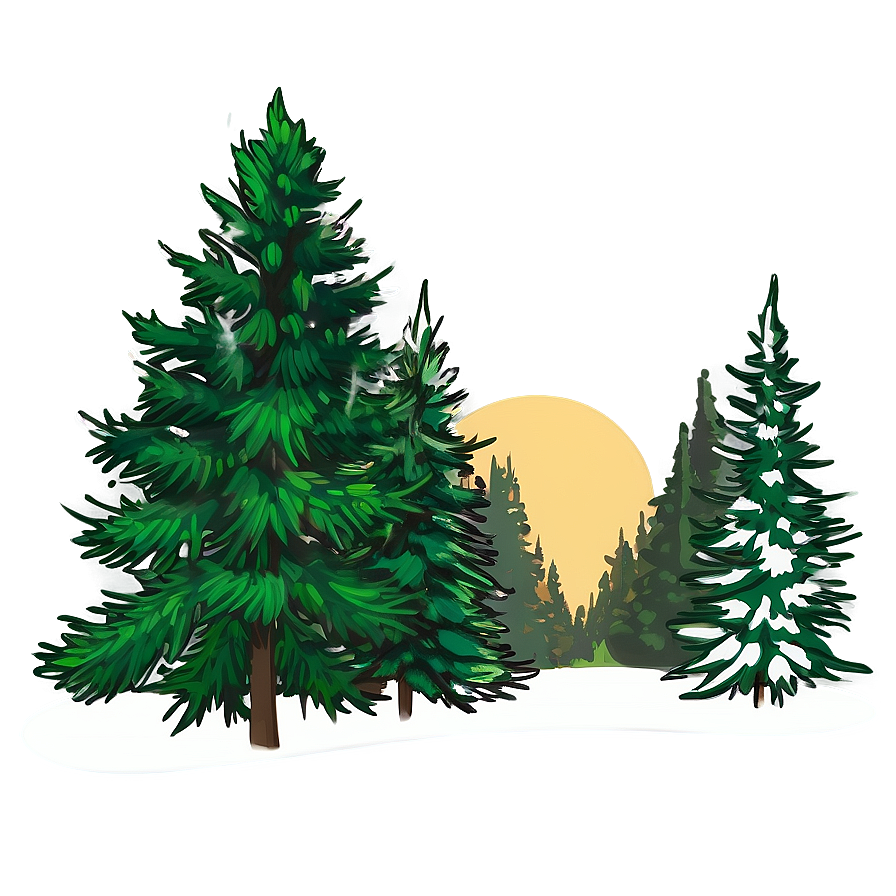 Evergreen Tree Sketch Png Psi92