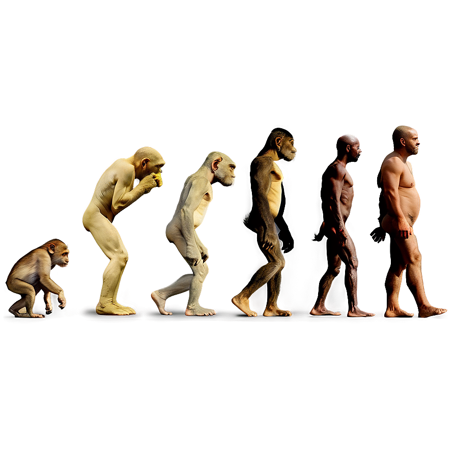 Evolution Of Photography Png 57