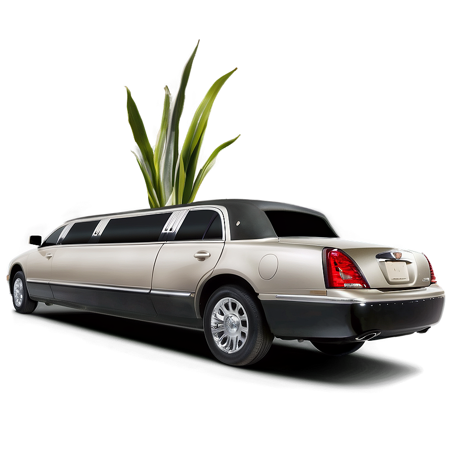 Executive Limo Service Png Wwm