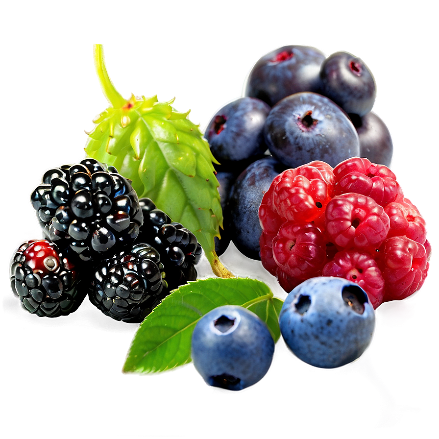 Exotic Berries Variety Png 06122024