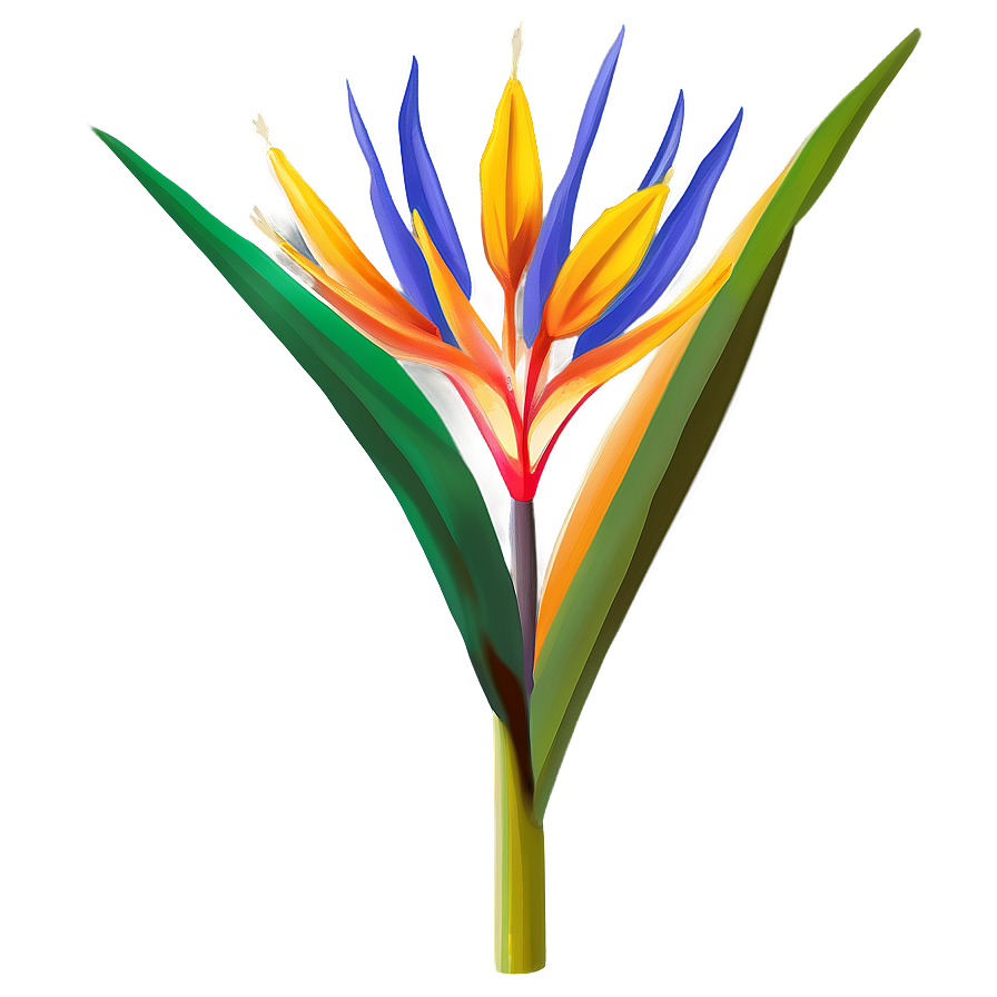 Exotic Bird Of Paradise Plant Png 06212024