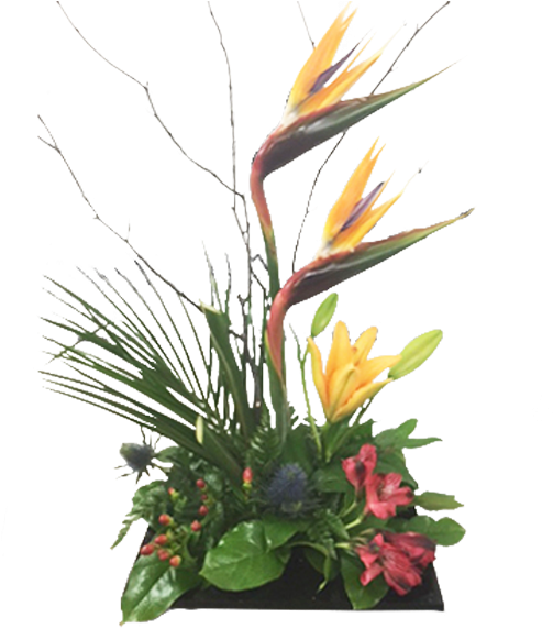 Exotic Birdof Paradise Floral Arrangement