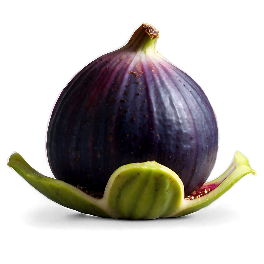 Exotic Fig Display Png 28