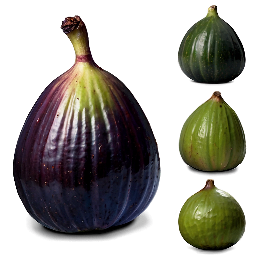 Exotic Fig Display Png Enf