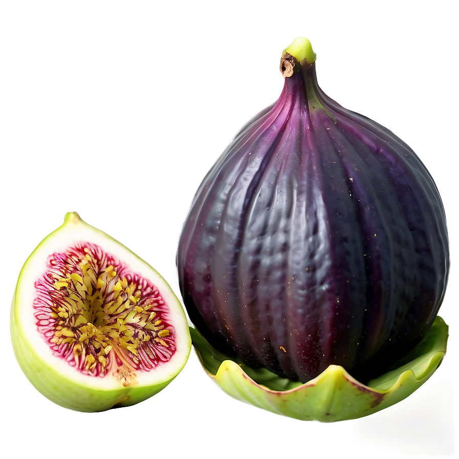 Exotic Fig Display Png Gkb